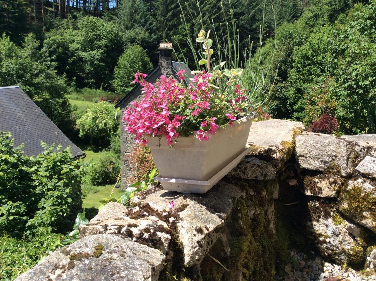 Bed and Breakfast Le Moulin Des Farges Meymac Exterior foto